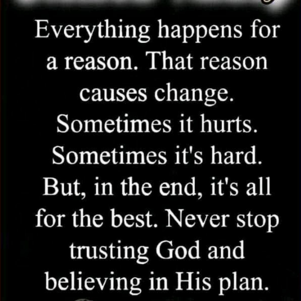 Please CLICK the Notification BELL and Share To Be Notified Of My Next Live Show - Picture 5 of 14